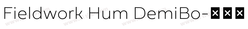 Fieldwork Hum DemiBo字体转换